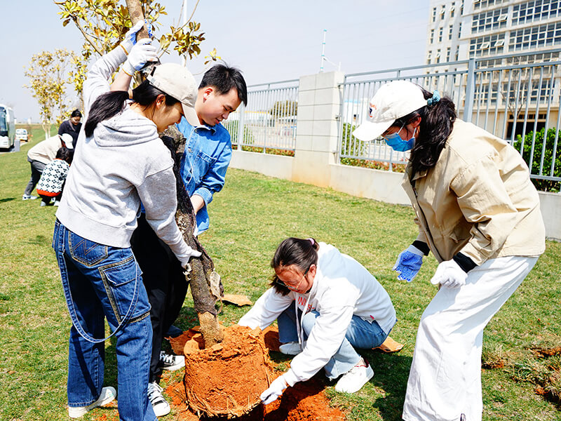 心系公益 生生不息 | 植绿护蓝，共筑生态家园的F6福鹿会力量